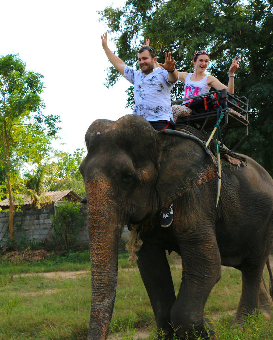 slony-thajsko-1