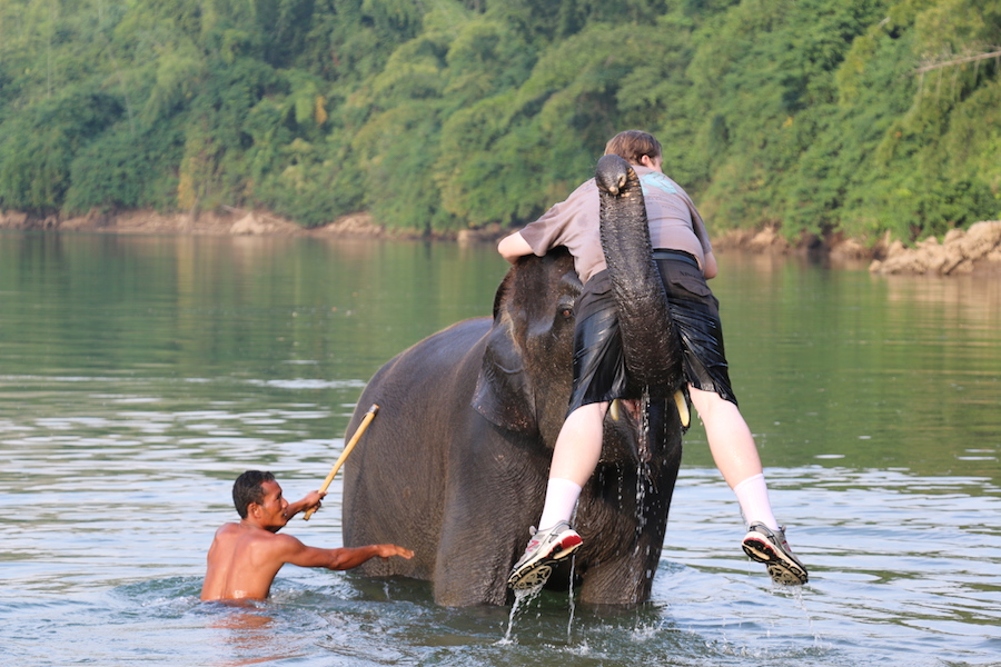 slony-thajsko-5