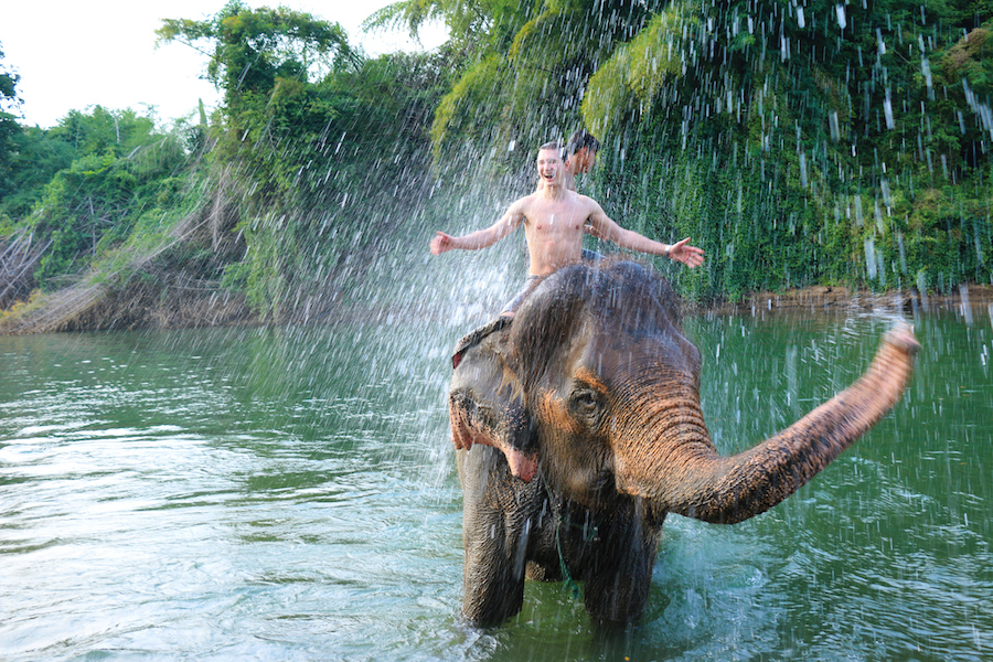 slony-thajsko-6